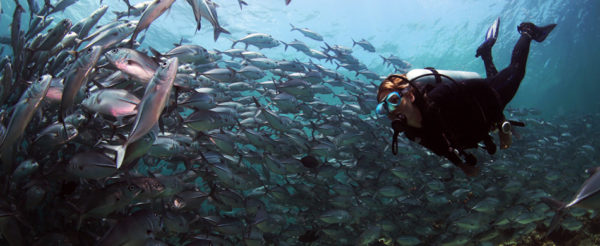 KUALA LUMPUR DIVING MABUL & SIPADAN